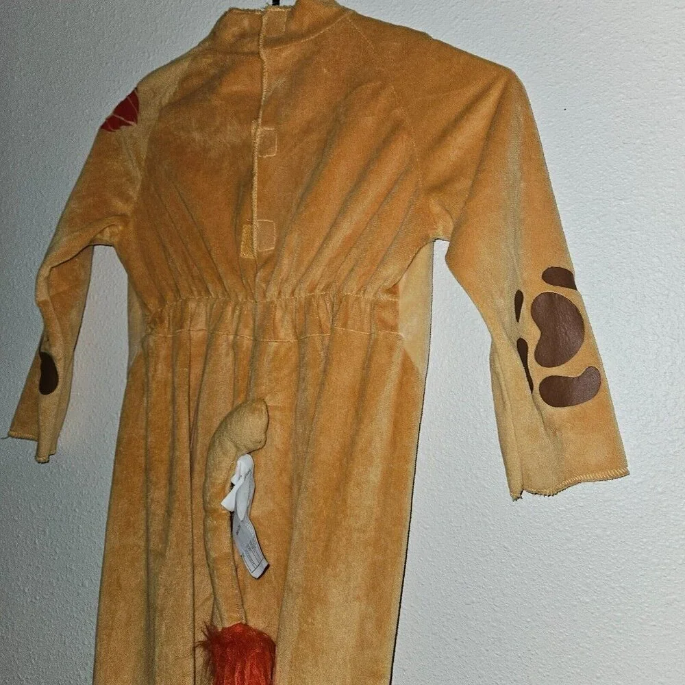 Disney kion costume